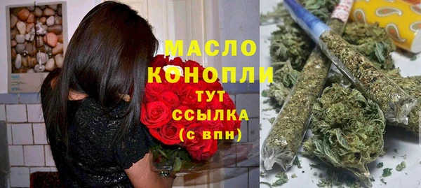 гашик Козельск