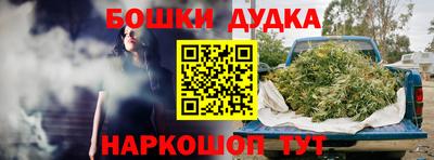 тгк Обь