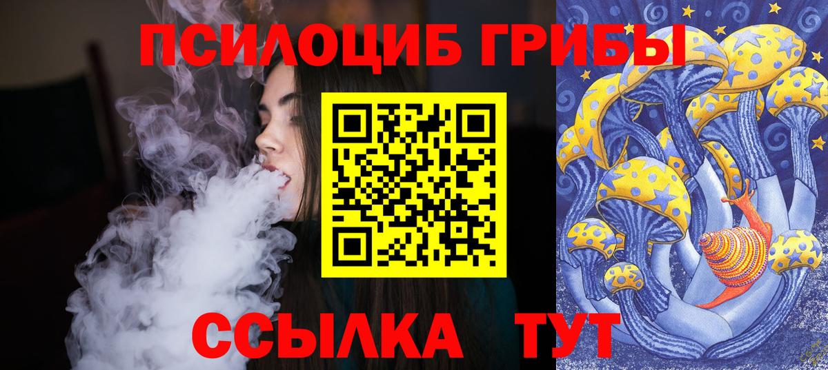 Учалы  Галлюциногенные грибы прущие грибы  Вход с VPN 